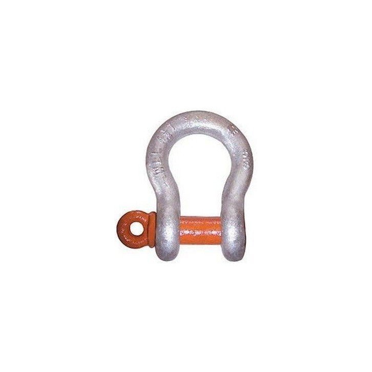 Manille lyre 1.1/2" - 17Tn